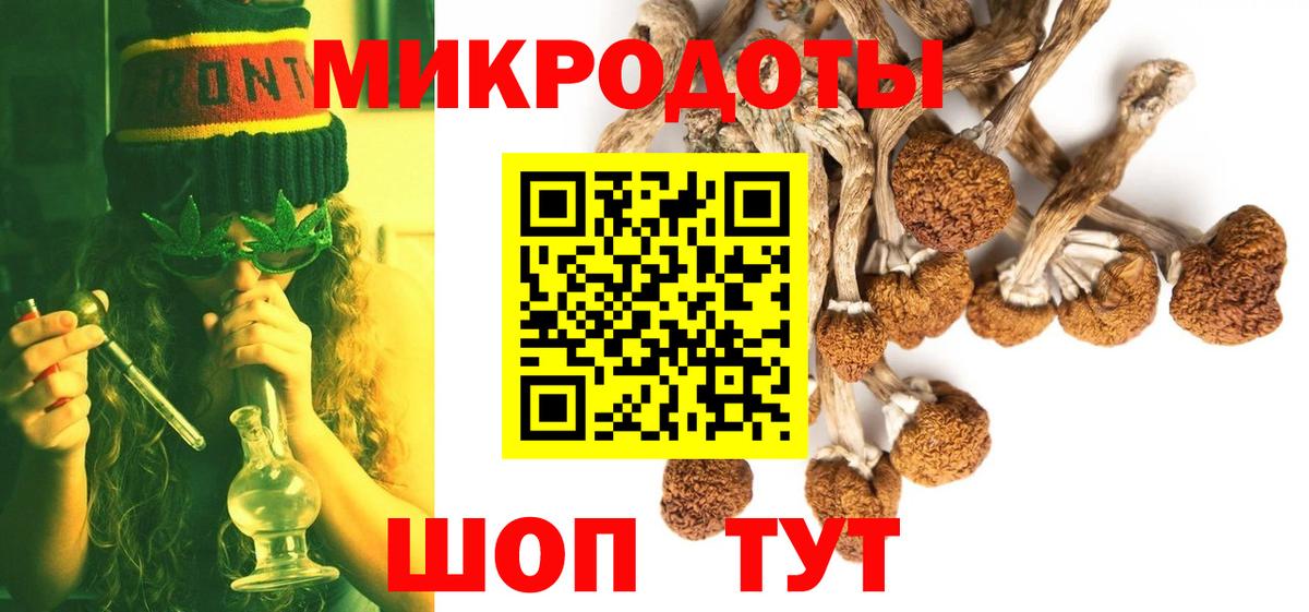 Киржач  Псилоцибиновые грибы Psilocybe  Вход с VPN 